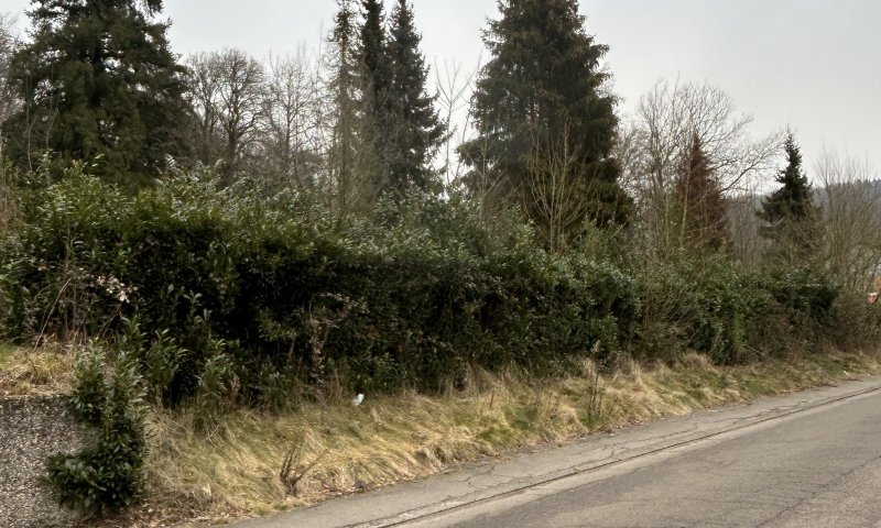 Baugrundstück in Waldrandlage in St. Ingbert-Reichenbrunn zu verkaufen
