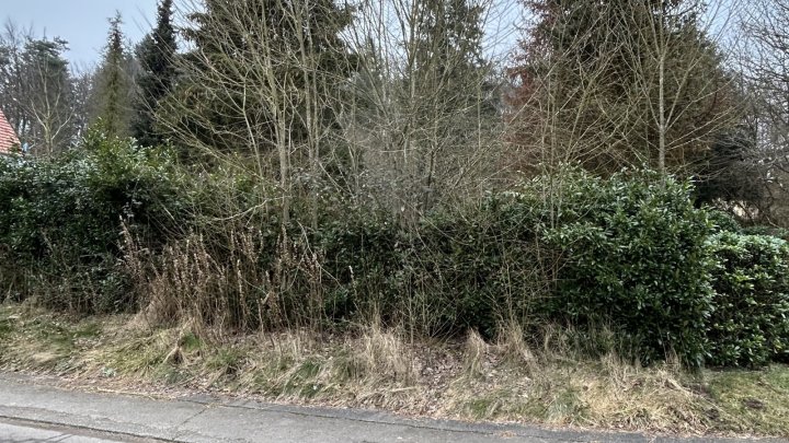 Baugrundstück in Waldrandlage in St. Ingbert-Reichenbrunn zu verkaufen