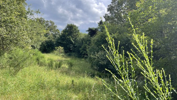 Wochenendhaus in Hilst