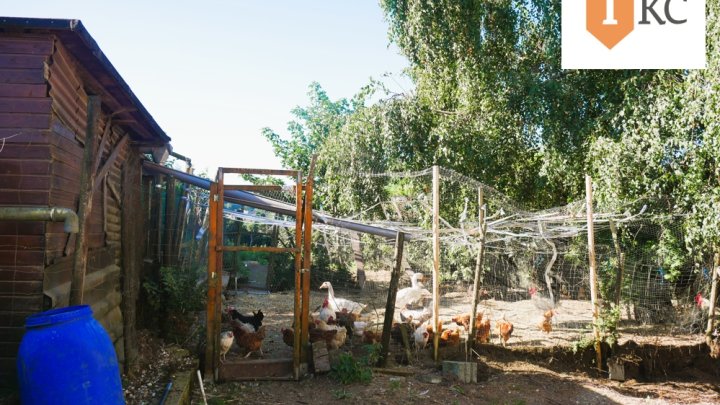 Renoviertes Einfamilienhaus in Hermeskeil – Großzügiges Familienheim mit Garten, Terrasse und Hobbybereich