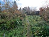 Gartenbereich