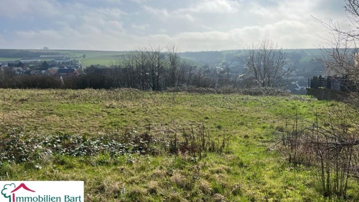 GRENZE L-WORMELDANGE: 348 M² WOHNFLÄCHE / 4 GARAGEN / VIEL POTENZIAL