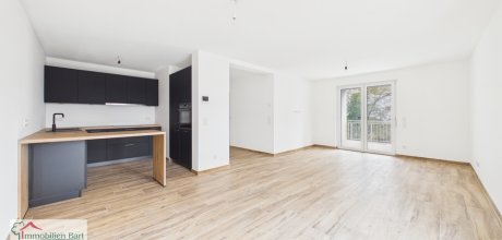 Wohn-Esszimmer mit Küche