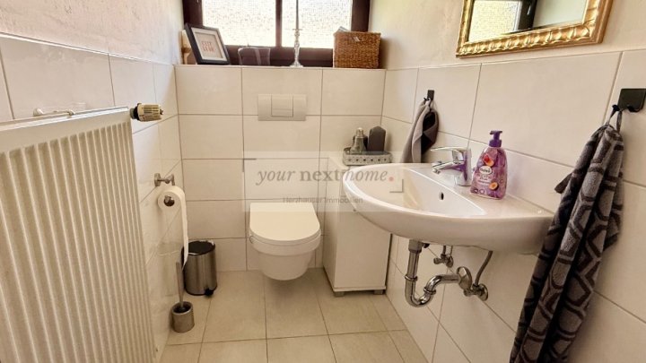 Schönes Ein-bis Zweifamilienhaus auf ca. 295 m² im Grünen mit Außenpool - Einliegerwohnung möglich