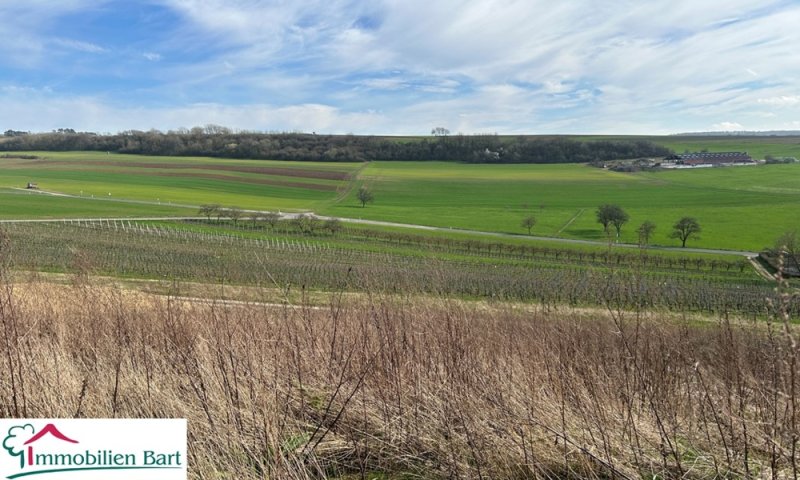 DIREKTE GRENZE LUXEMBURG: 13 AR AUF MONT