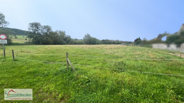 GRENZE LUXEMBURG: 40 AR IN TOP LAGE