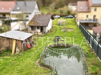 Rückseite