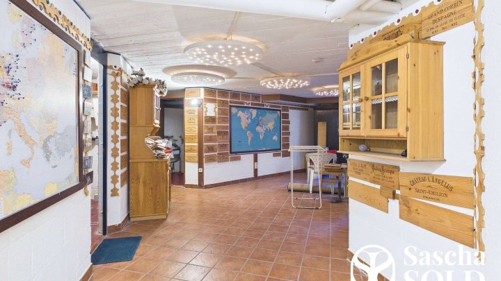 Exklusive Liegenschaft mit Galerie, Terrassen und kreativer Seele in ruhiger Bestlage von Dudweiler