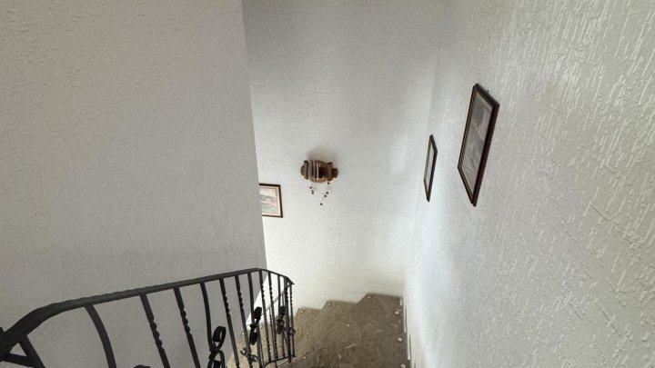 Wohnen über der Mosel: Modernisiertes Doppelangebot mit großem Grundstück