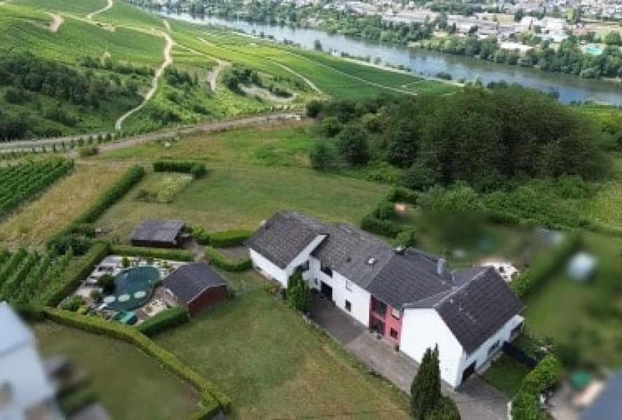 Draufsicht