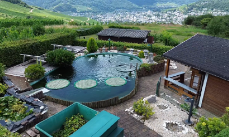 Wohnen mit Moselblick: Modernisiertes Einfamilienhaus mit großem Grundstück