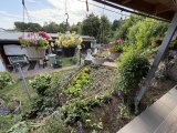 Gartenansicht von überdachter Terrasse