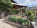Garten 3