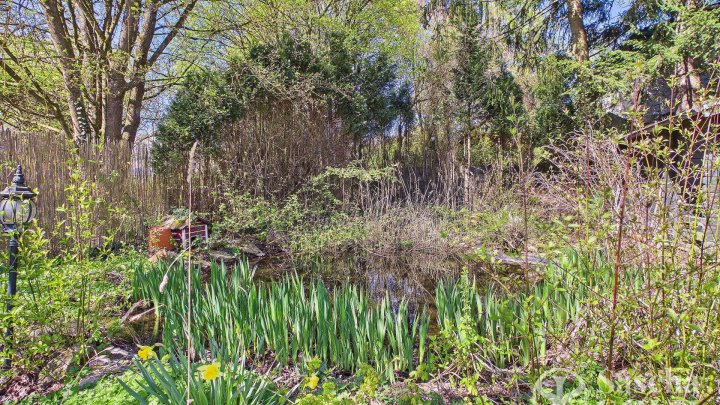 Großzügige Liegenschaft in ruhiger Waldrandlage - Pool, Sauna, Wintergarten, Balkon u. Doppelgarage