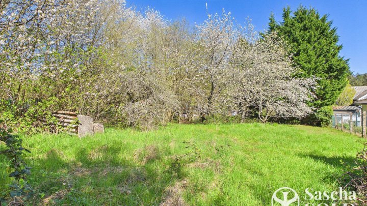 Freistehendes Einfamilienhaus in ruhiger Sackgassenlage auf weitläufigem Grundstück in St. Ingbert