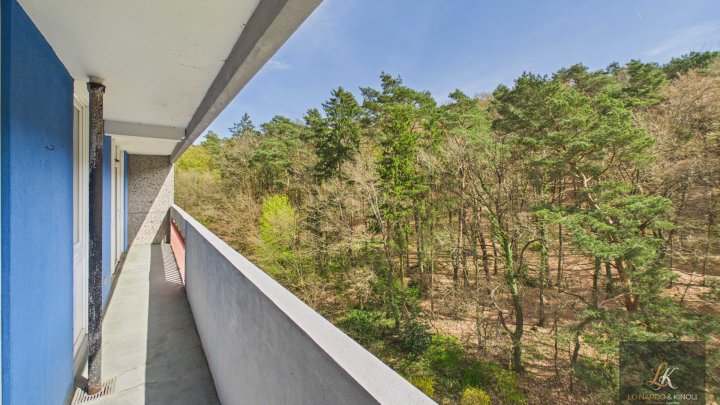 Gepflegte 2-Zimmer-Wohnung mit Balkon in Homburg nähe Uni-Klinik