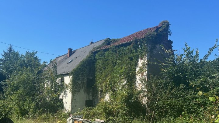 Großes schön gelegenes Grundtsück nahe an der Prims in Wadern-Büschfeld zu verkaufen