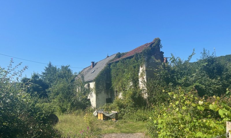 Großes schön gelegenes Grundtsück nahe an der Prims in Wadern-Büschfeld zu verkaufen