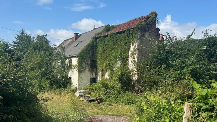 Großes schön gelegenes Grundtsück nahe an der Prims in Wadern-Büschfeld zu verkaufen