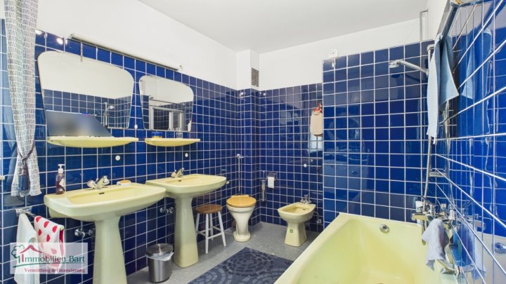 GRENZNÄHE: 4 GROßE GARAGEN / 276 M² WOHNHAUS / SOFORT VERFÜGBAR!