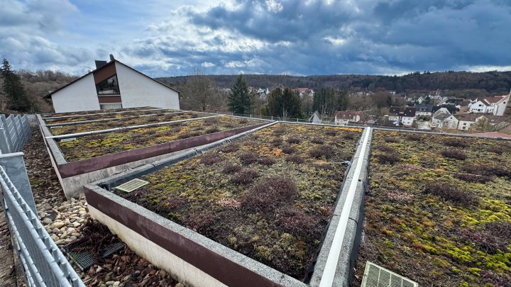GARAGENHOF - 6 Garagen auf einem eigenem Baugrundstück in Zweibrücken-Niederauerbach