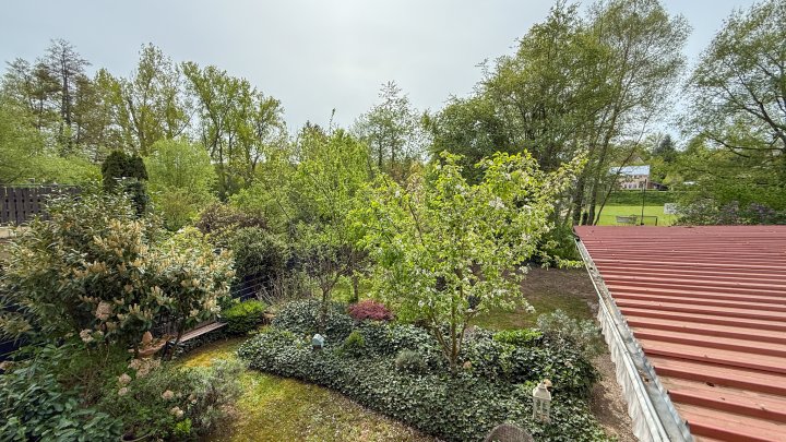 KLOSTERSTADT HORNBACH- Einfamilienhaus mit zusätzlich 2 Ferienwohnungen, Grundstück und Carport