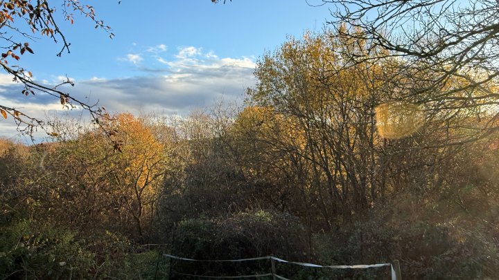 HANDWERKERHAUS - Renovierungsbedürftiges Einfamilienhaus mit Grundstück in Käshofen