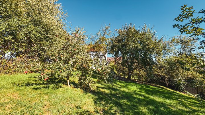 GRÜNOASE - Doppelhaushälfte mit Garage/Balkone und großem Garten in Zweibrücken-Mörsbach