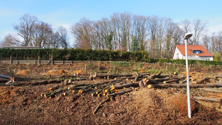 SEHR RUHIGE UND BESTE WOHNLAGE- Baugrundstück Zweibrücken–Eitersberg