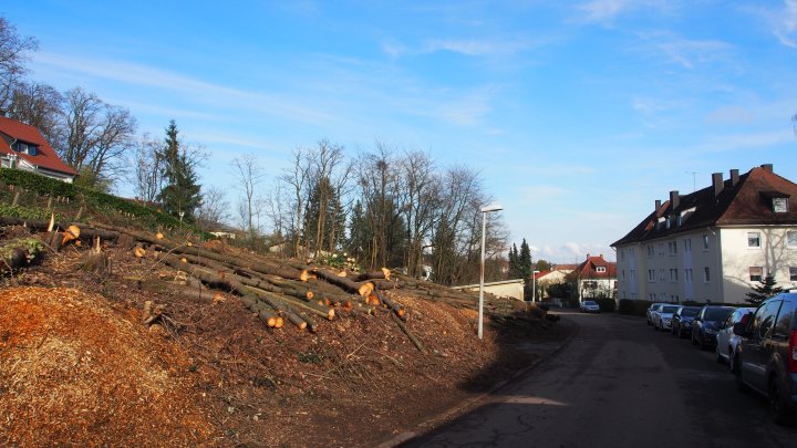 SEHR RUHIGE UND BESTE WOHNLAGE- Baugrundstück Zweibrücken–Eitersberg