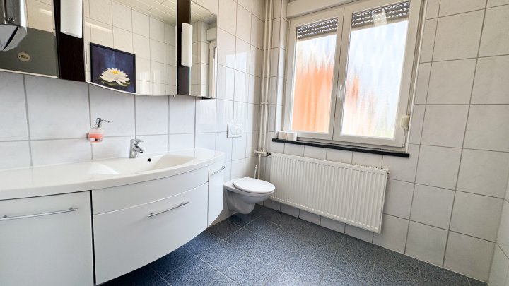 AM FLUGPLATZ - Gewerbeobjekt mit Büroflächen/Werkstatthallen/Stellplätzen in Zweibrücken