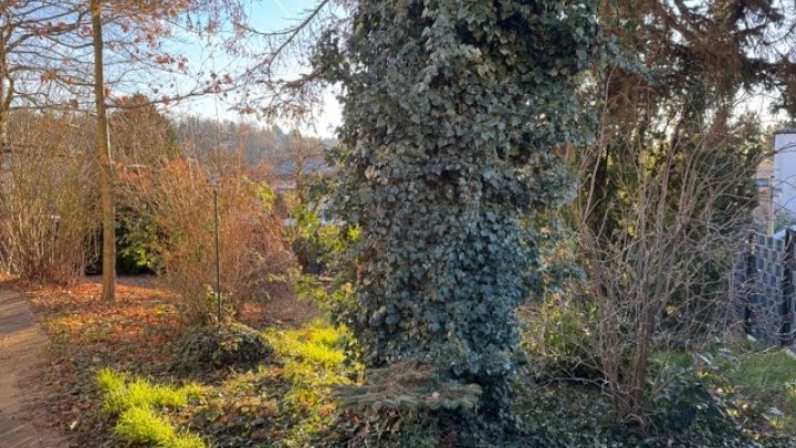 TOP-LAGE - Attraktives Einfamilienhaus mit ELW und Garten in Bestlage von Zweibrücken- Ernstweiler