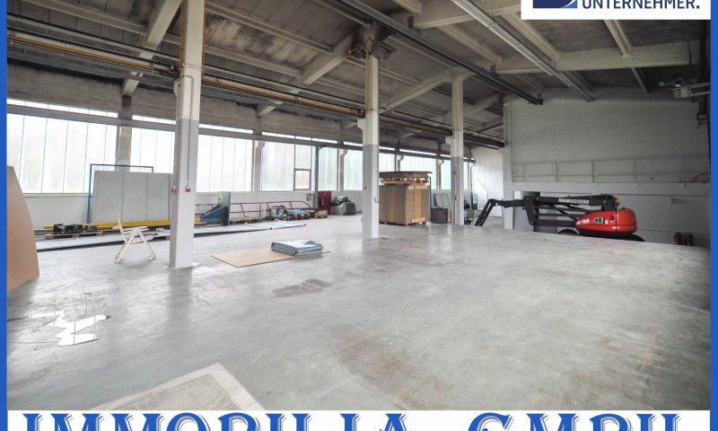 INDUSTRIEKOMPLEX - Lagerhalle/Produktionshalle mit Büroflächen im Biosphären Reservat Bliesgau