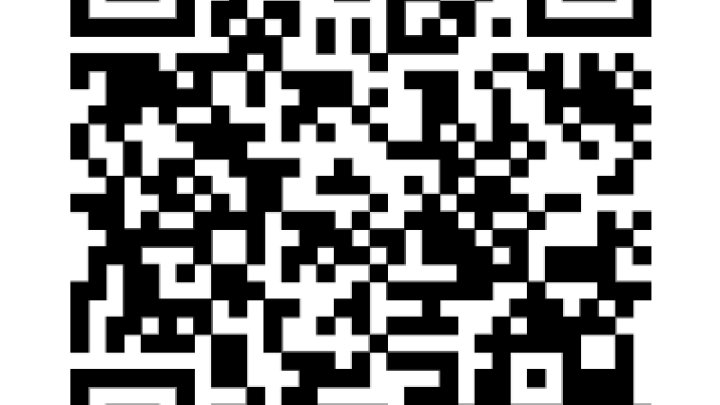 Gepflegtes, kernsaniertes, vollvermietetes Mehrfamilienhaus mit 3 Wohnungen - Terrasse - Balkon - Garage - großes Grundstück - Saarbrücken - Dudweiler