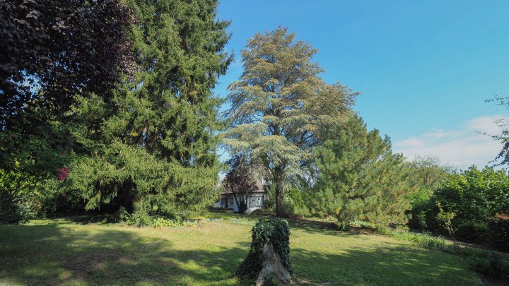 TOP LAGE IN ZWEIBRÜCKEN STADT - letztes Baugrundstück in ruhiger Lage und Zentrumsnähe