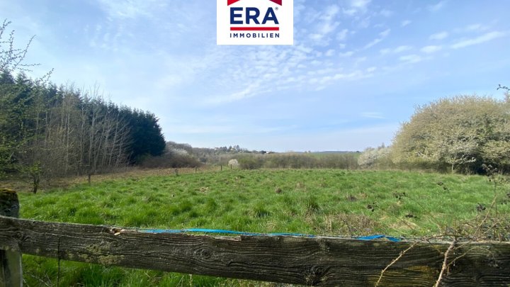 KEINE VERMITTLUNGSGEBÜHREN-EINFAMILIENHAUS MIT PFERDEHALTUNG, NEUFGRANGE/FR, NÄHE SB