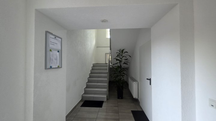 3 ZKB renoviert Waldrandlage zu vermieten