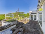 Terrasse Penthouse