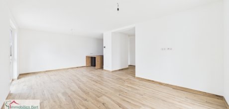Wohn-Esszimmer