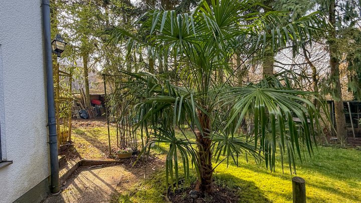 GROßZÜGIG - Einfamilienhaus mit Einliegerwohnung, Indoorpool und großzügigem Garten